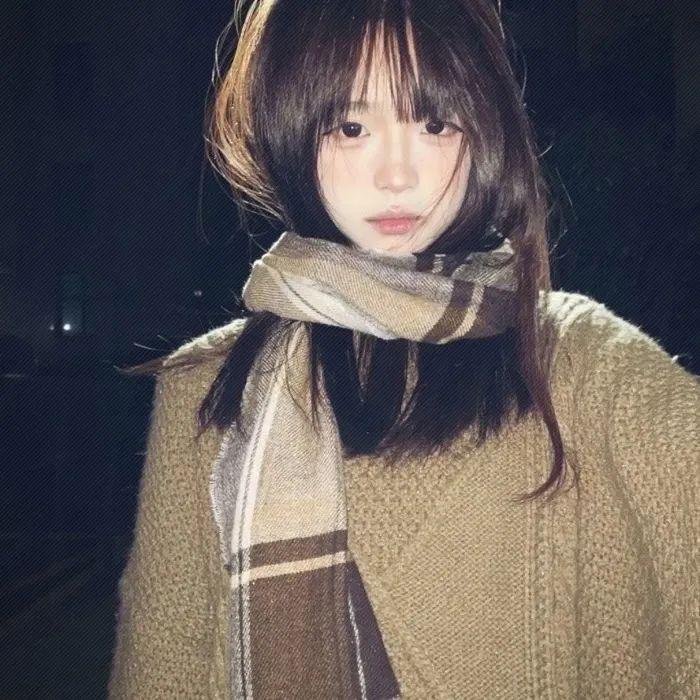 双探